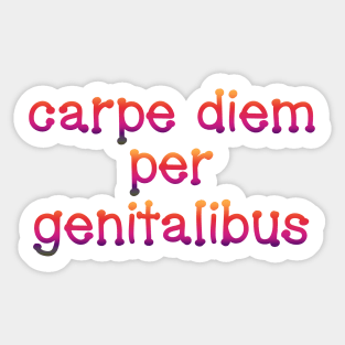 Carpe Diem Per Genitalibus Sticker